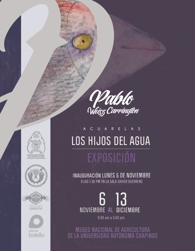 expo