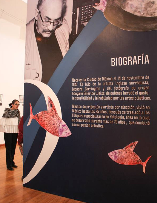 expo